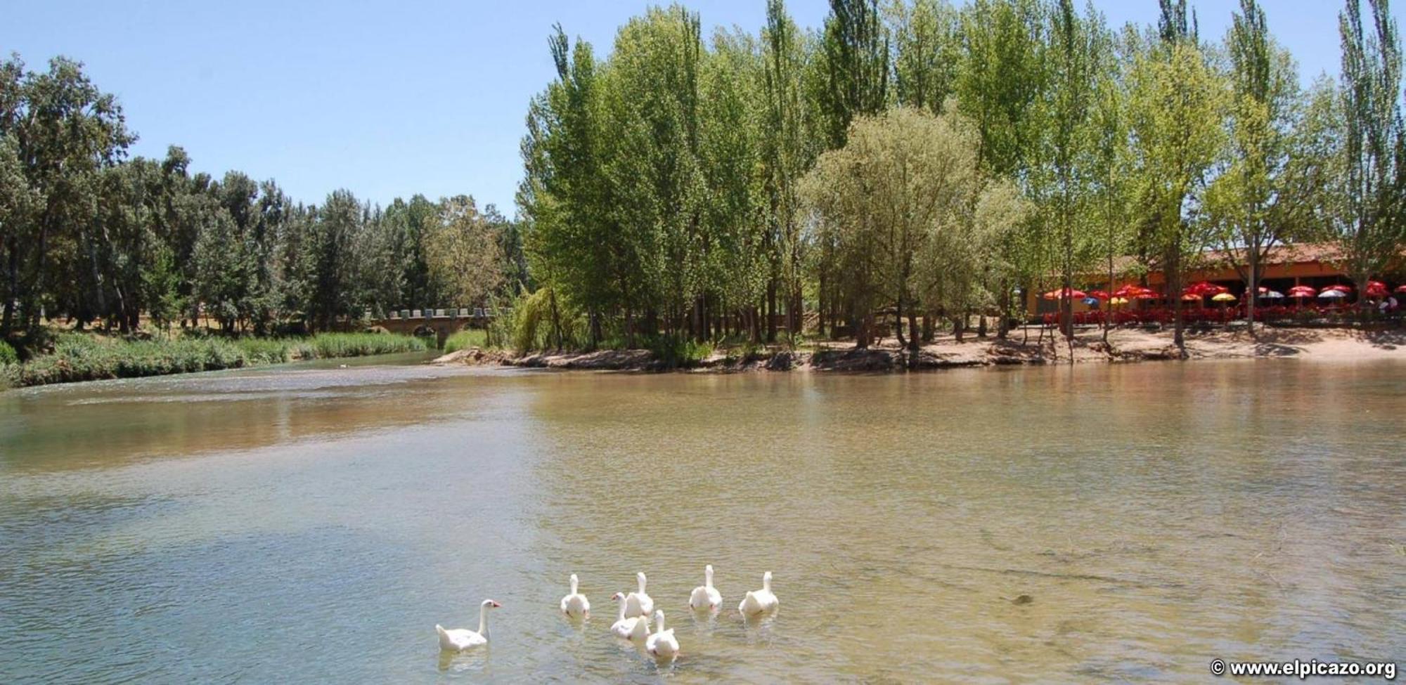 Casa Rural Las Tejas El Picazo Bagian luar foto