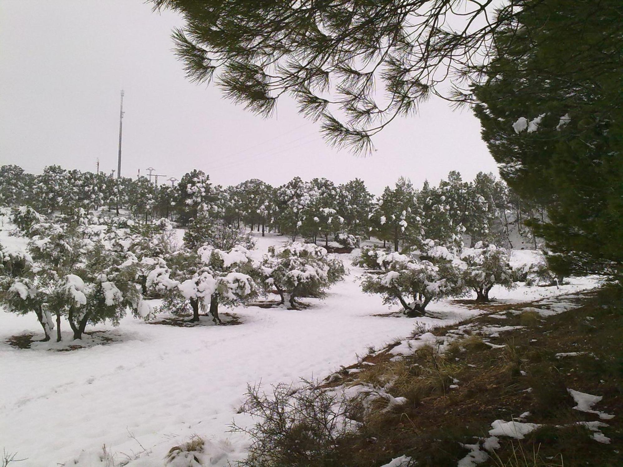 Casa Rural Las Tejas El Picazo Bagian luar foto